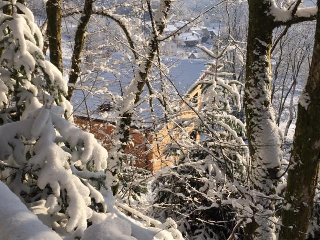 Villa Cora Venez Neuve Avec Spa Saint-Bresson Zewnętrze zdjęcie