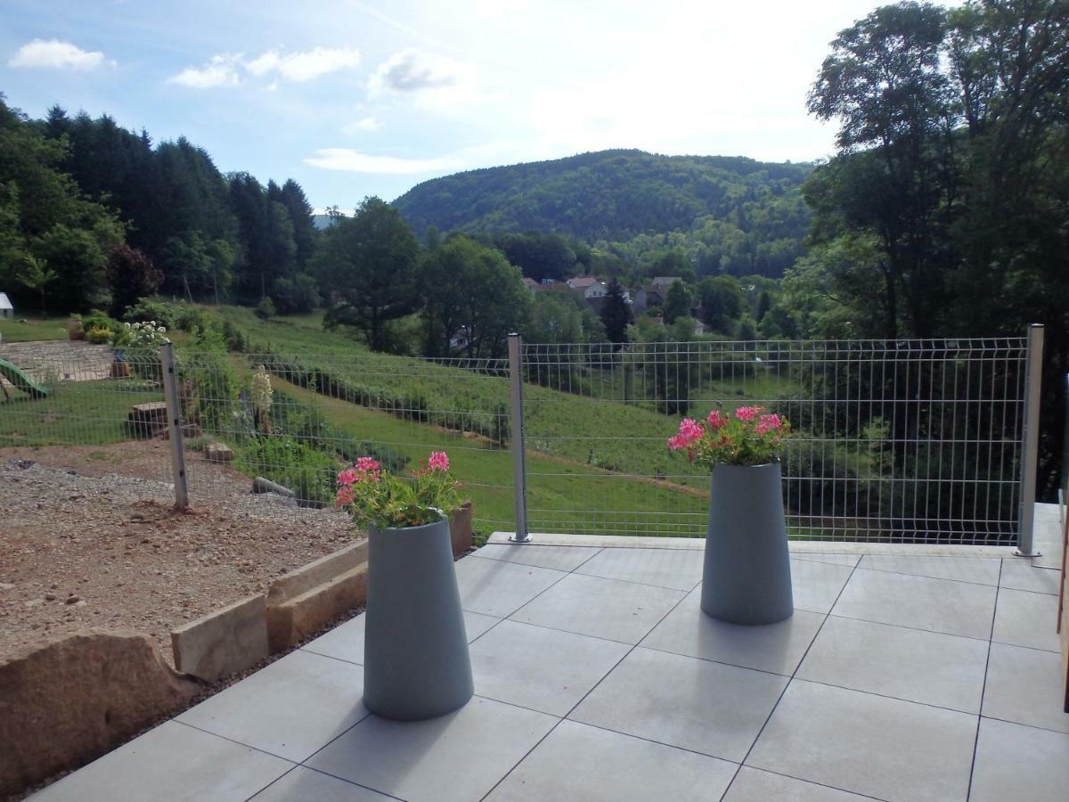 Villa Cora Venez Neuve Avec Spa Saint-Bresson Zewnętrze zdjęcie