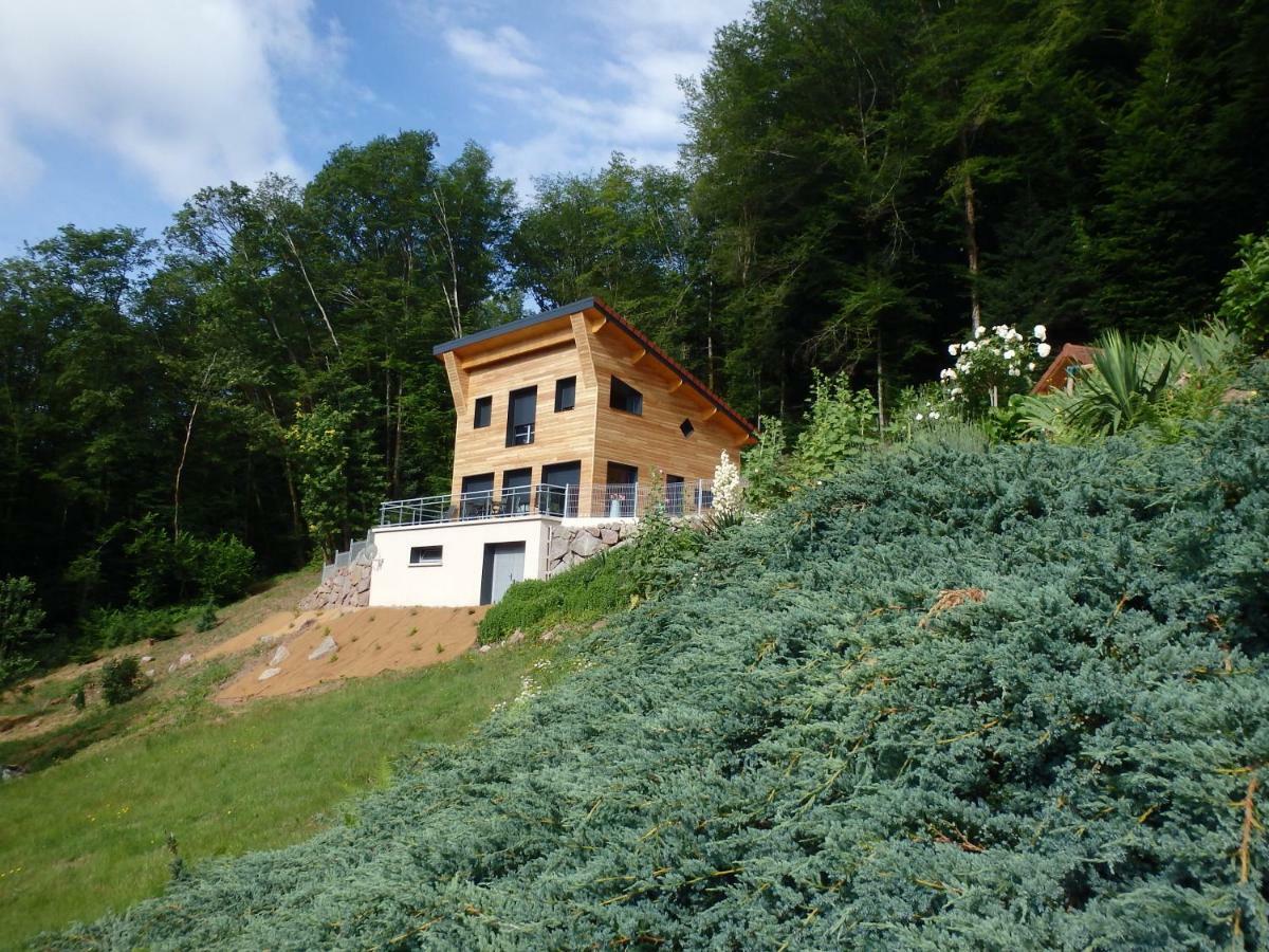 Villa Cora Venez Neuve Avec Spa Saint-Bresson Zewnętrze zdjęcie