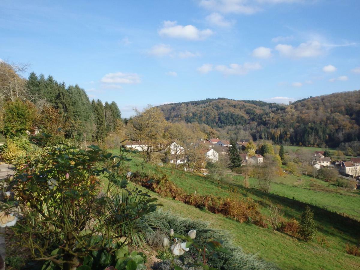 Villa Cora Venez Neuve Avec Spa Saint-Bresson Zewnętrze zdjęcie